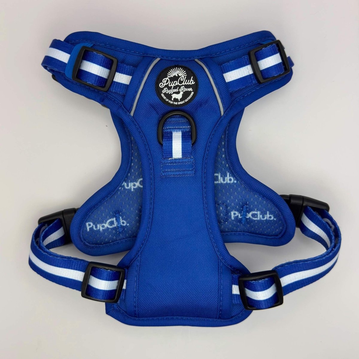 Poy pet harness best sale