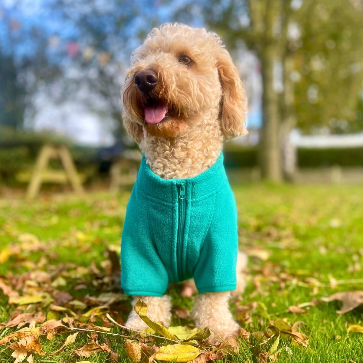 Dog Fleece Coat Jacket - Green - Pupclub Couture