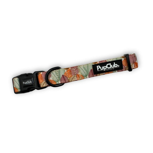 dog collar - autumn breeze - pupclub couture