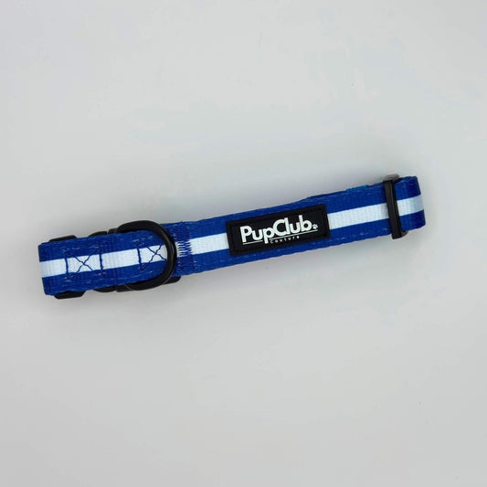 Dog Collar - Royal Blue - Pupclub Couture