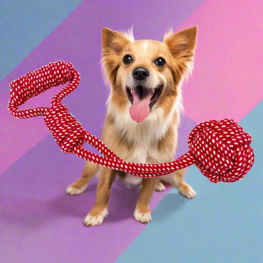 dog toy red tug rope pupclub couture