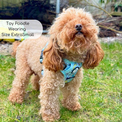 Toy Poodle wearing Rugged Rover Dog Harness - Jurassic Party - Pupclub Couture